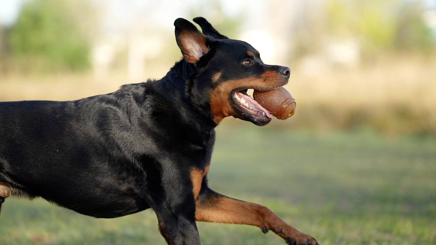 Hundespielzeug Rub American Football