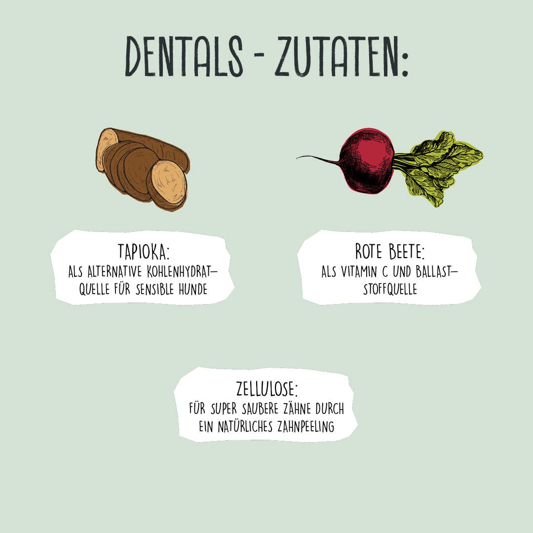 DENTALS XL