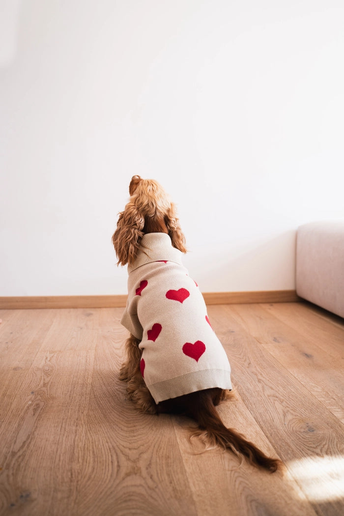 gestrickter Hundepullover mit Herzen
