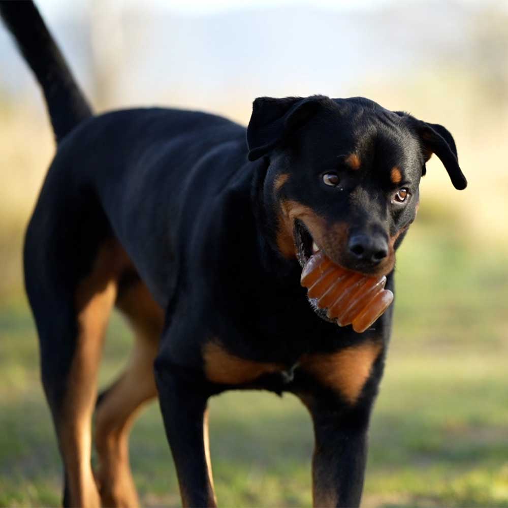 Hundespielzeug Rub Jumpty Dumpty