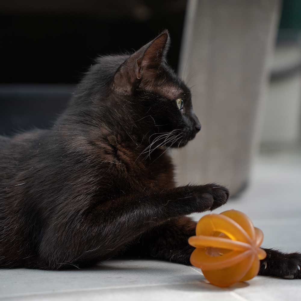 Katzenspielzeug Rub Funny Ball Cats X2