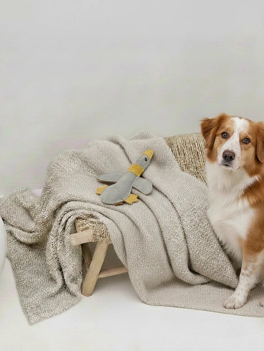 Hundespielzeug "Daggi the Duck" aus Leder