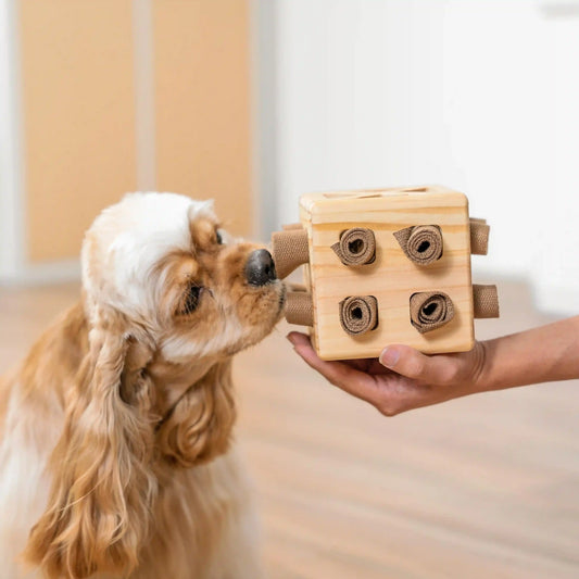 Hundespielzeug Wooden Rubik’s Cube