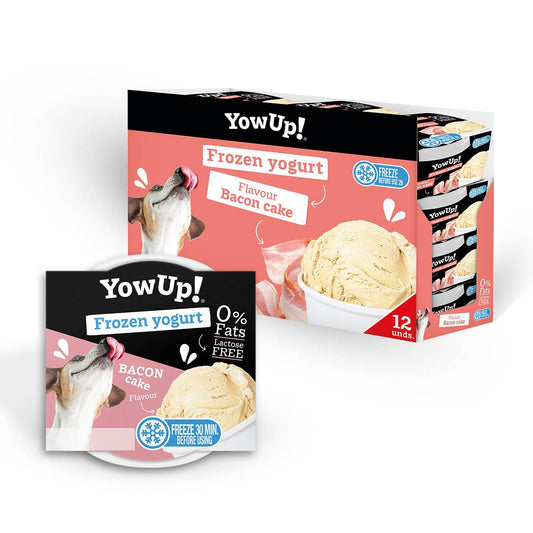 YowUp Eiscreme Joghurt Speck-Kuchen | laktosefrei