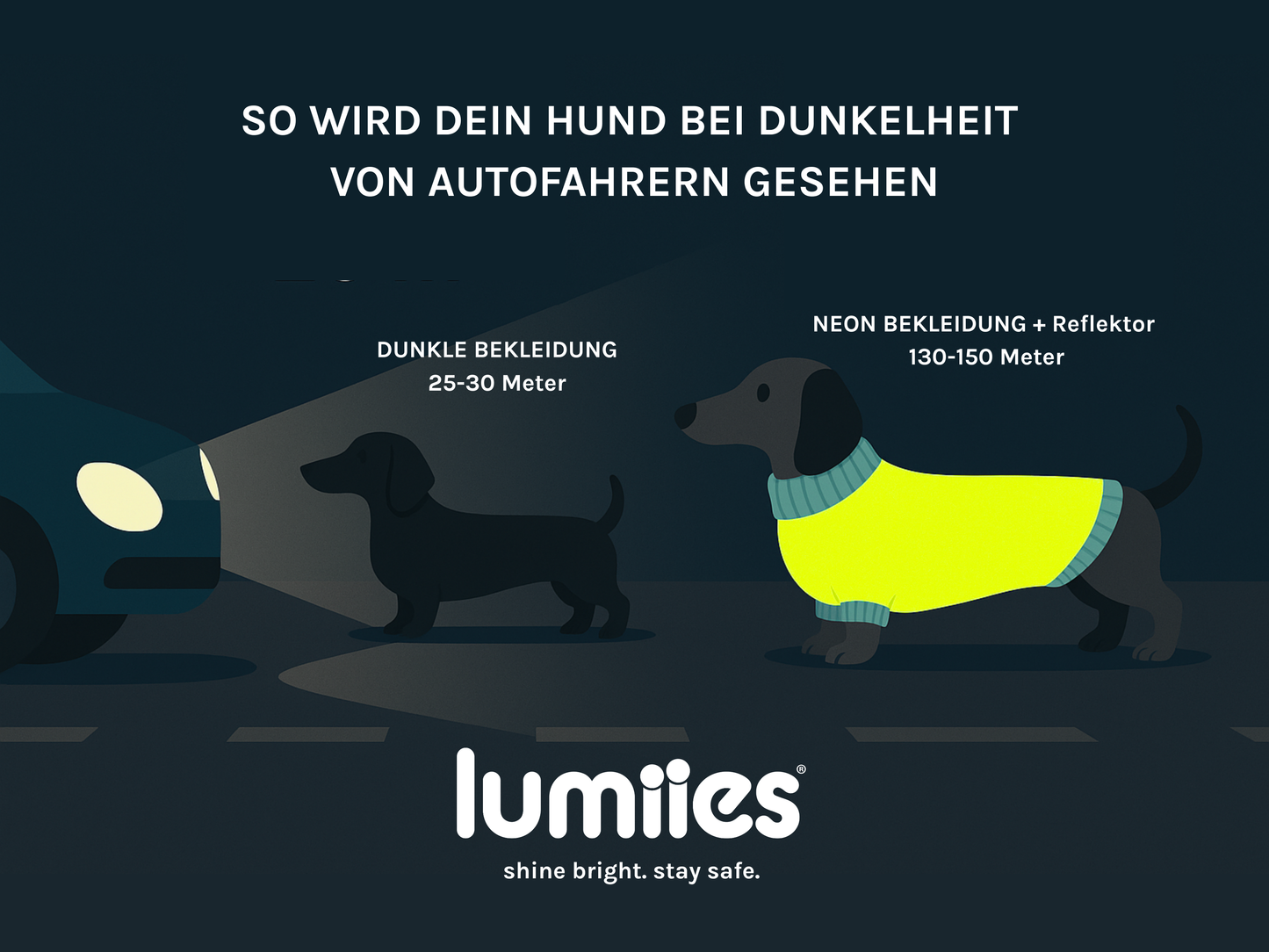 THE GLOW RAINCOAT | regular-fit