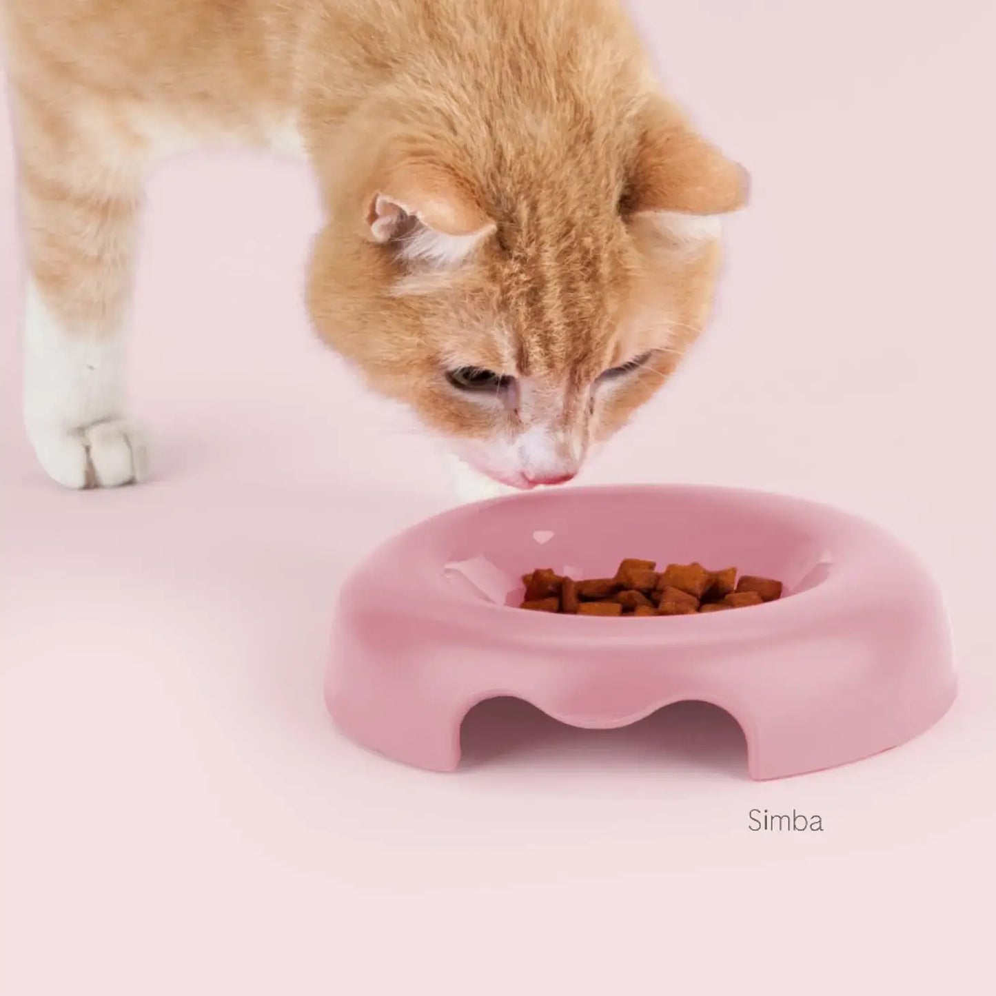 flacher Futternapf für Katzen | verschiedene Farben