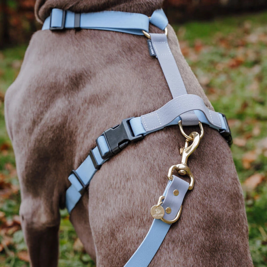 Hundeleine Outdoor FLEX | 3-fach verstellbar | Taupe/Blau