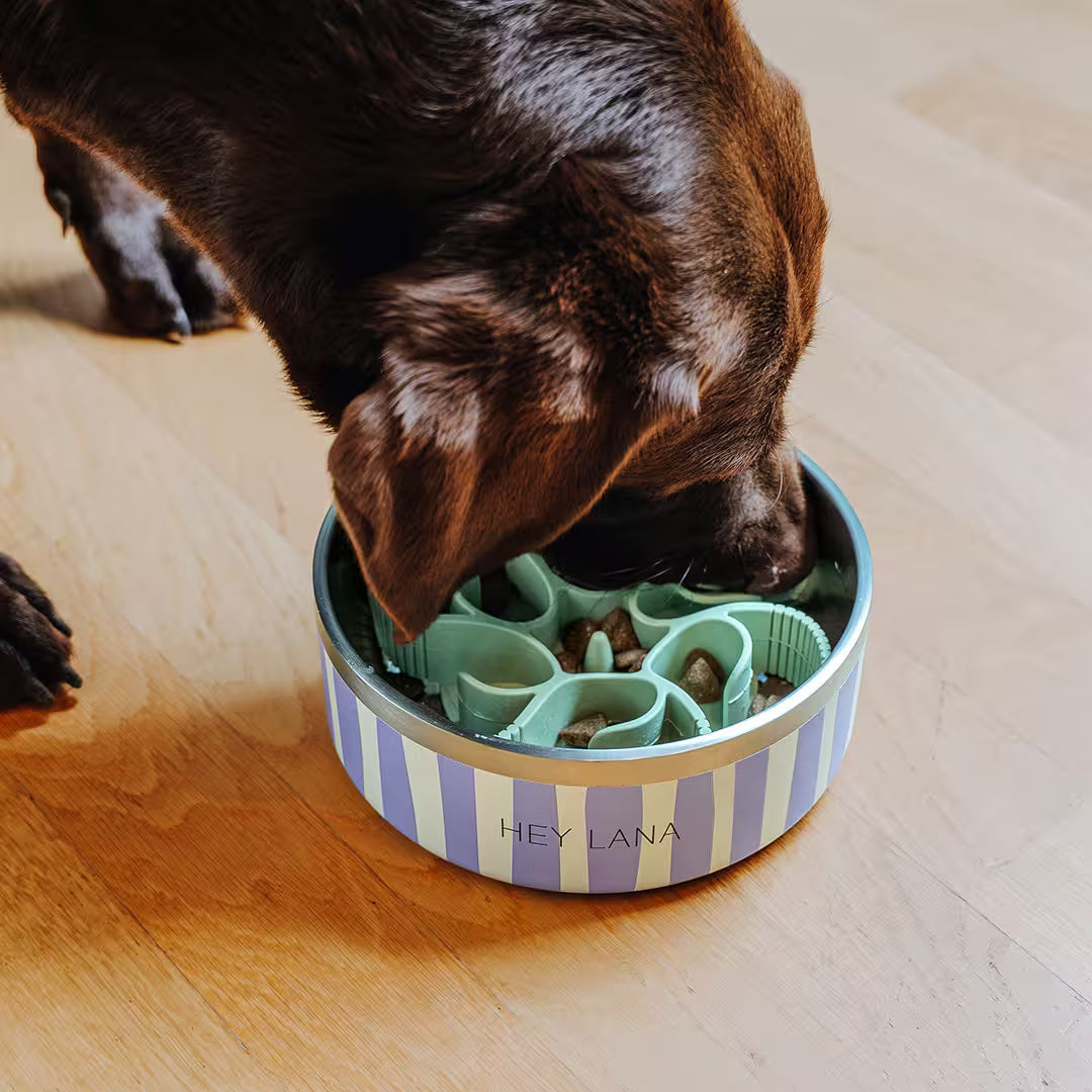 Anti-Schling Einsatz