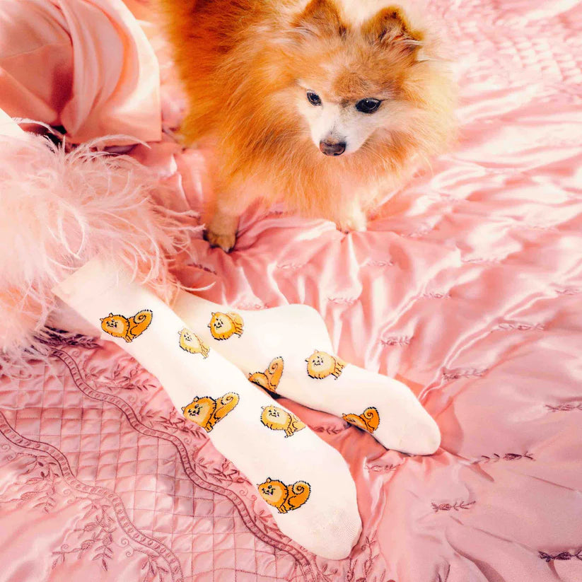 Socken Dog Socks | verschiedene Motive