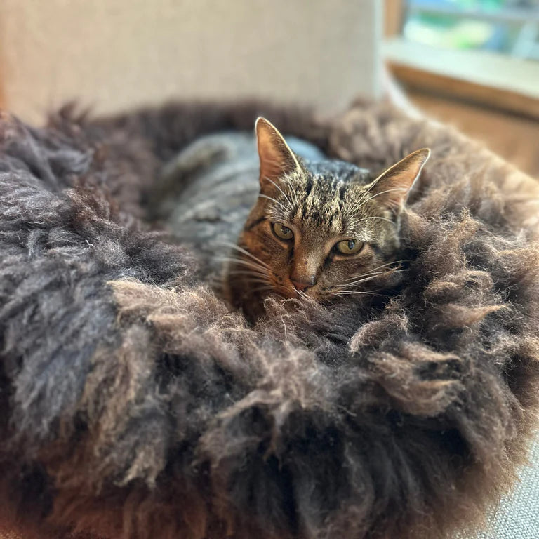 Schaf Donut Bett S