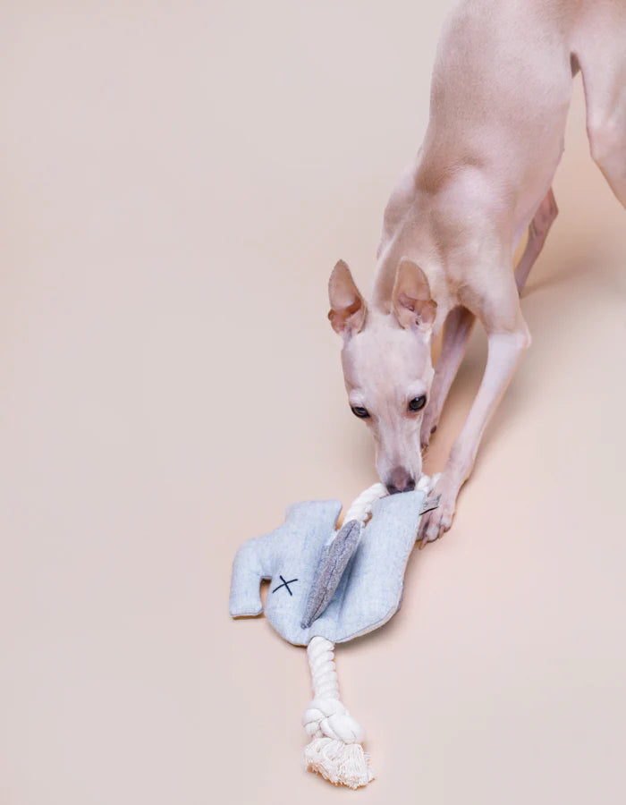 Hundespielzeug Elefant mit Seil EMMA