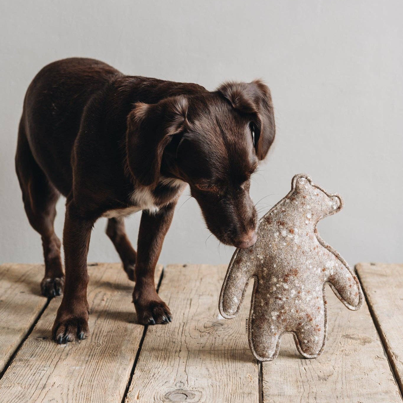 Hund Must Have Geschenk Geschenkidee Mitbringsel Aufmerksamkeit Überraschung Hundeliebe Handmade Made in Europe Köln Hundeladen