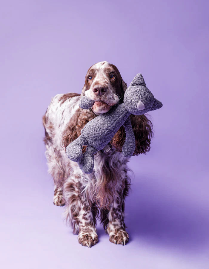 Hund Must Have Geschenk Geschenkidee Mitbringsel Aufmerksamkeit Überraschung Hundeliebe Handmade Made in Europe Köln Hundeladen