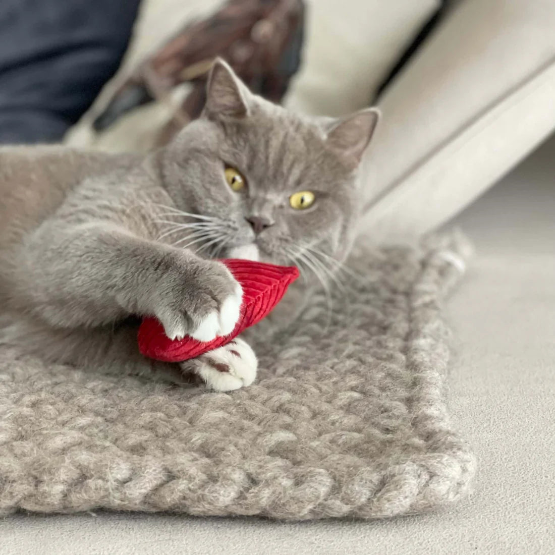 Katze Must Have Geschenk Geschenkidee Mitbringsel Aufmerksamkeit Überraschung Katzenliebe Handmade Made in Europe Köln Katzenladen