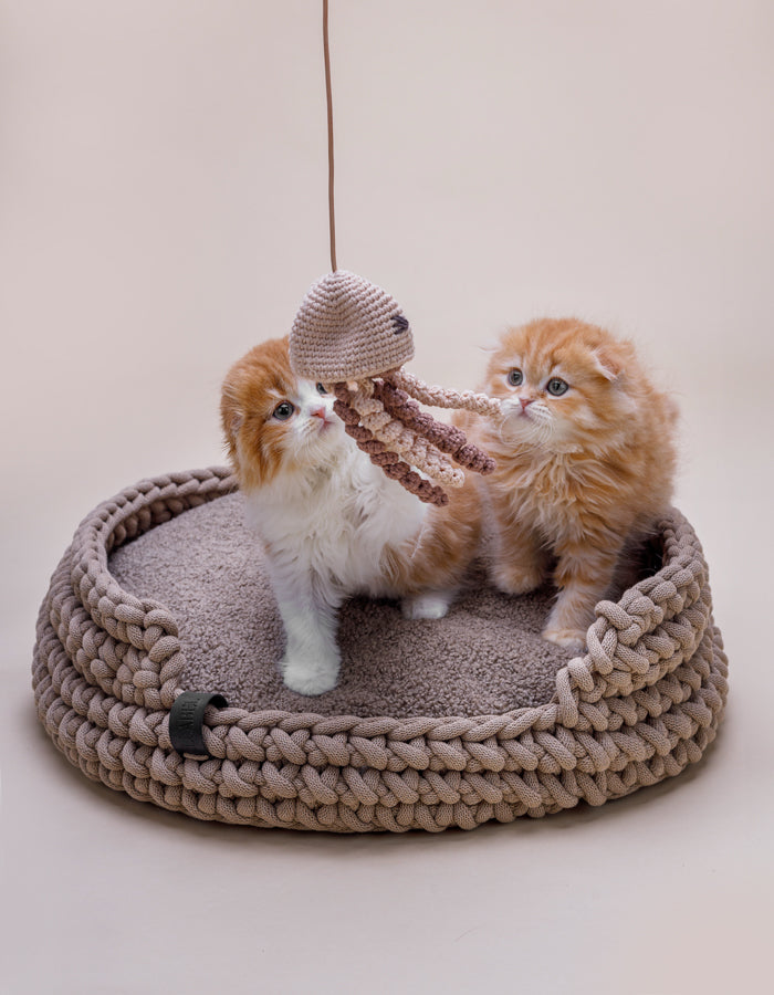 Katze Must Have Geschenk Geschenkidee Mitbringsel Aufmerksamkeit Überraschung Katzenliebe Handmade Made in Europe Köln Katzenladen