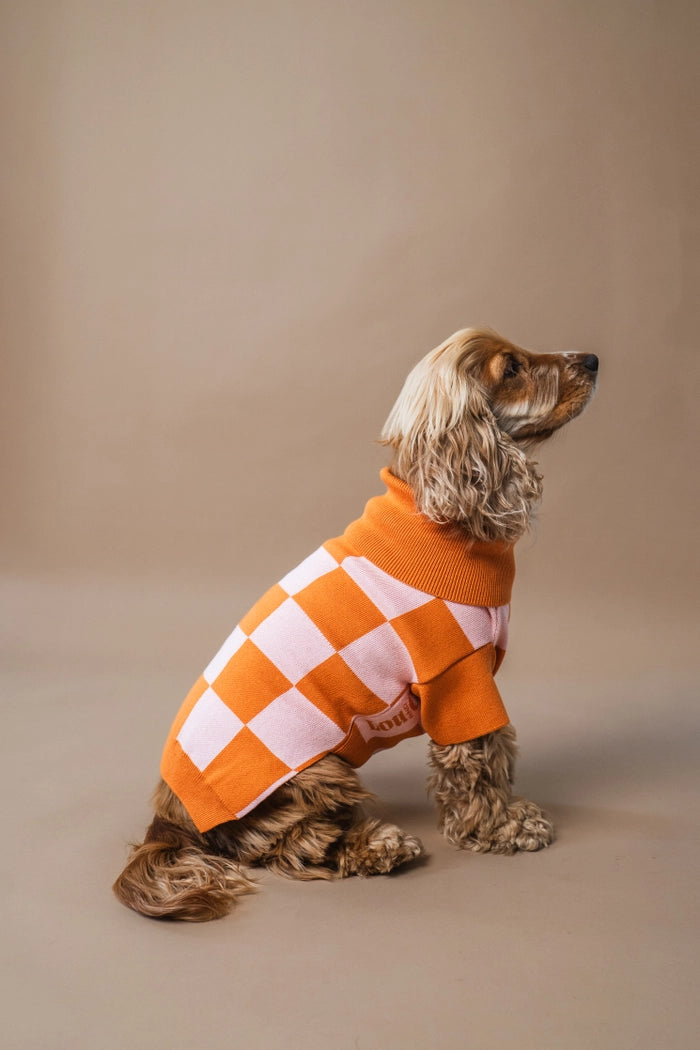 gestrickter Hundepullover mit Karos