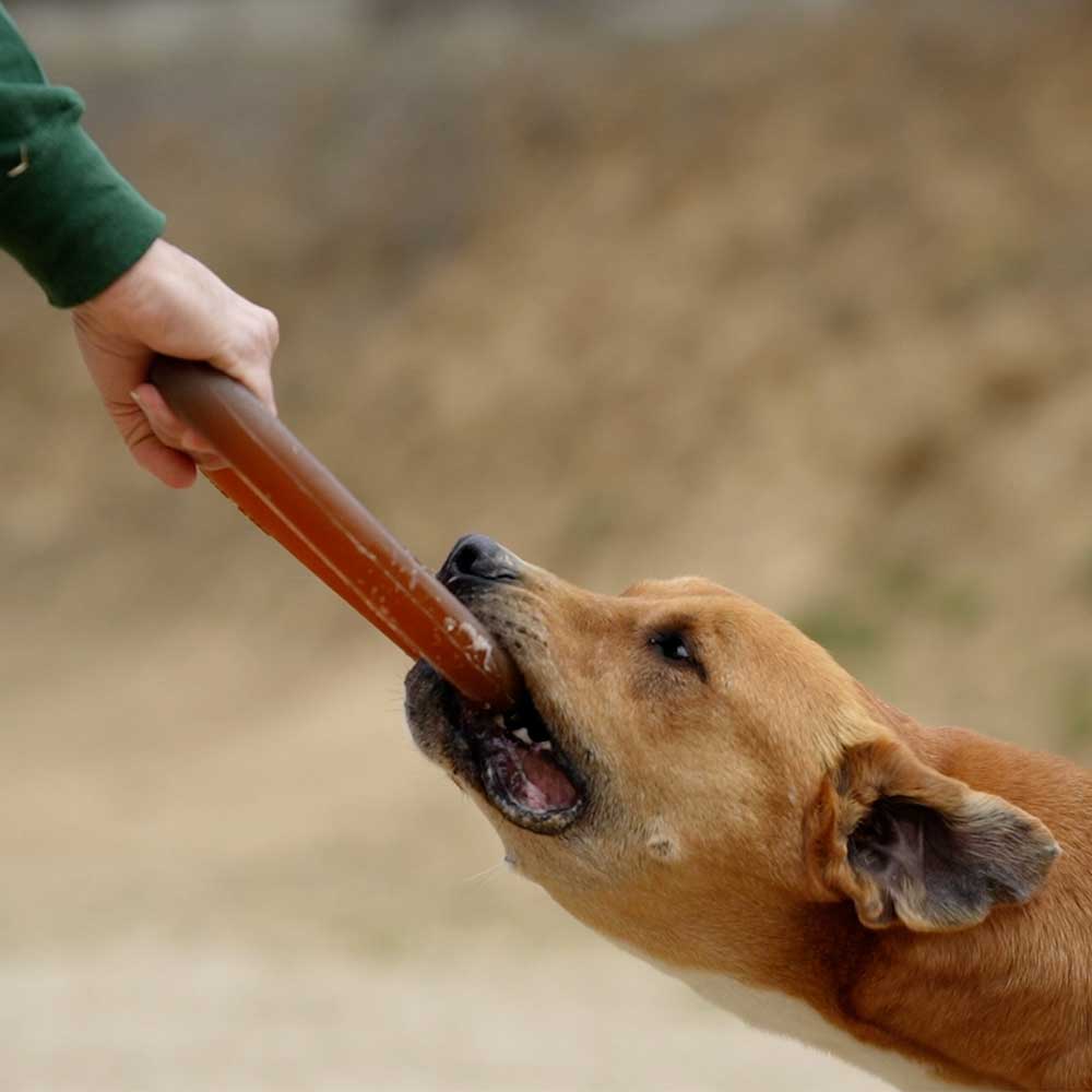 Hundespielzeug Rub Bite