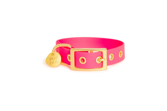 Hundehalsband GLOUTON