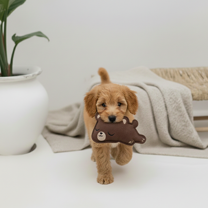 Hundespielzeug "Bobo the Bear" aus Leder