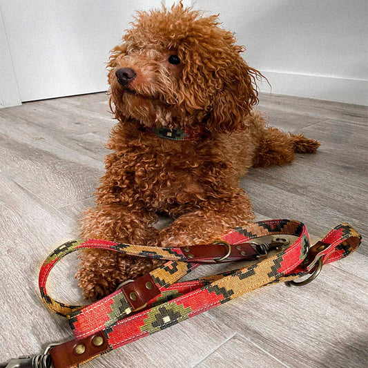 Hundeleine Scooby verstellbar