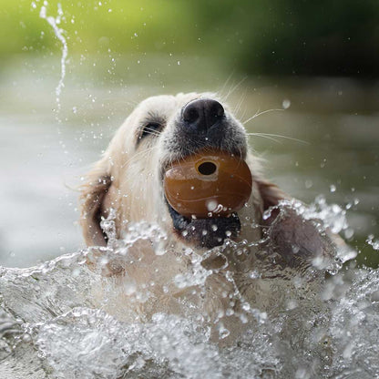 Rub Ball Hundespielzeug aus natürlichem Bio-Kautschuk