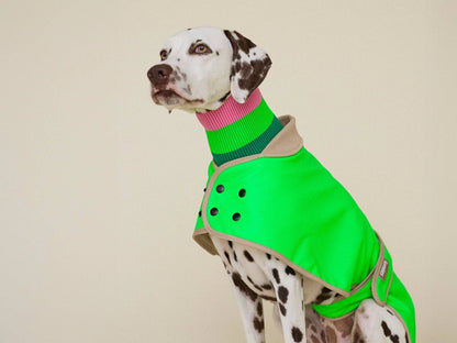 The Glow Raincoat Regular-Fit | Neon Green Gecko