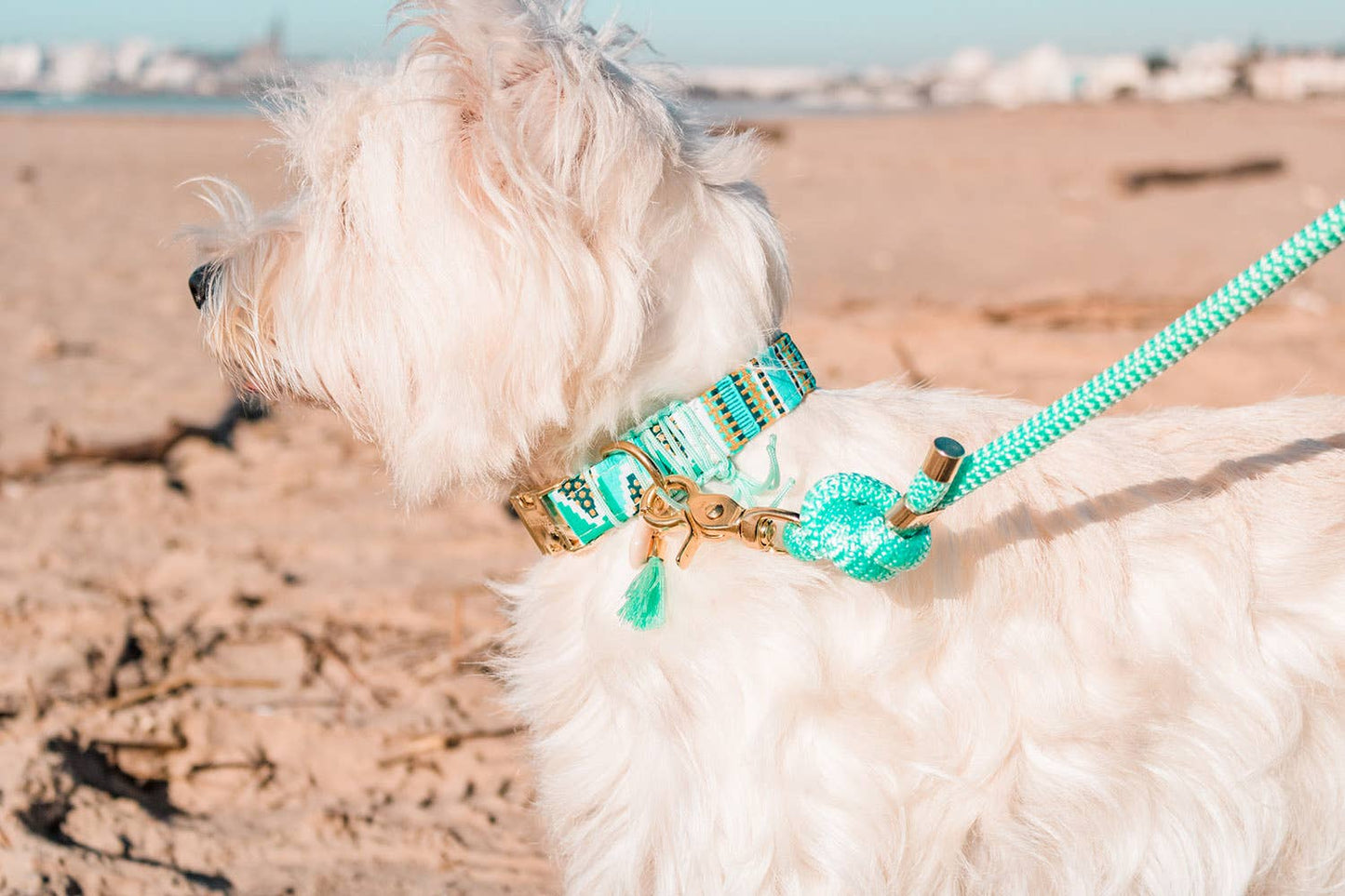 Handgemachtes Hundehalsband Baumwolle Glitzereffekt – Ancara