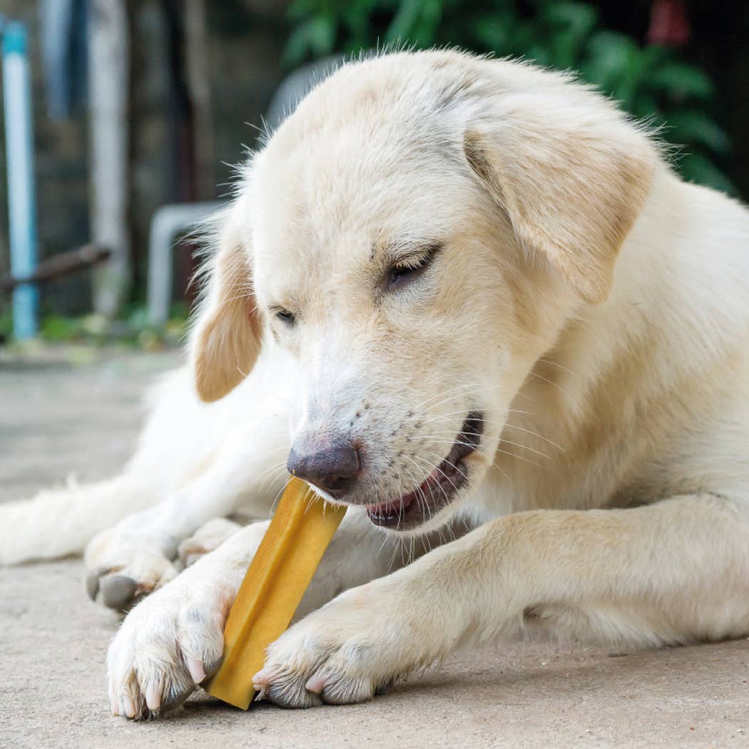 CHURPI Original Yak Snack - Kauknochen für Hunde