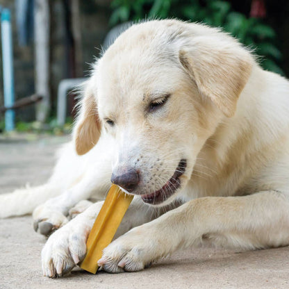 CHURPI Original Yak Snack - Kauknochen für Hunde