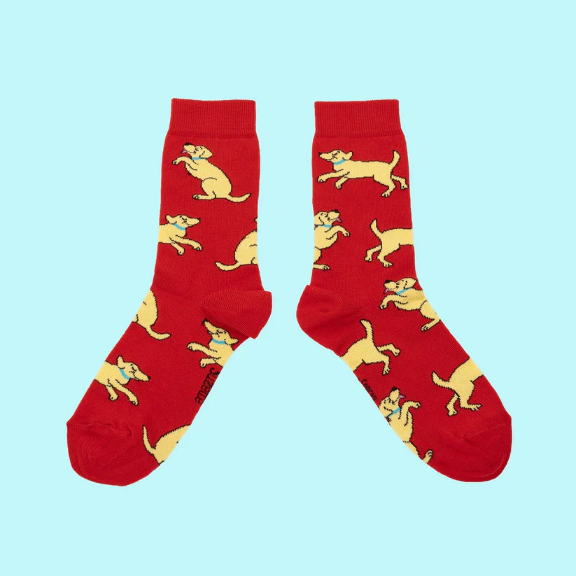 Socken Dog Socks | verschiedene Motive