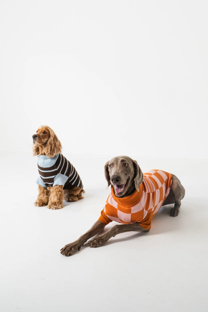gestrickter Hundepullover mit Streifen