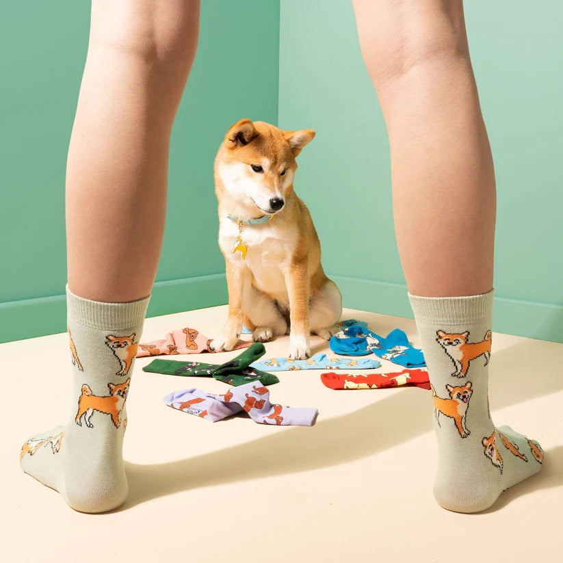 Socken Dog Socks | verschiedene Motive