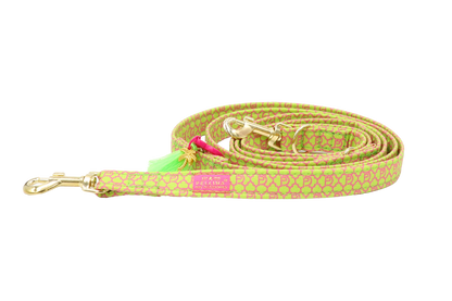 Hundeleine "Signature" Summer Green
