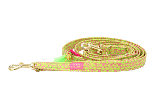Hundeleine "Signature" Summer Green