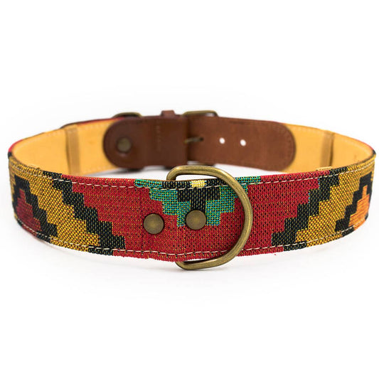 Hundehalsband Scooby