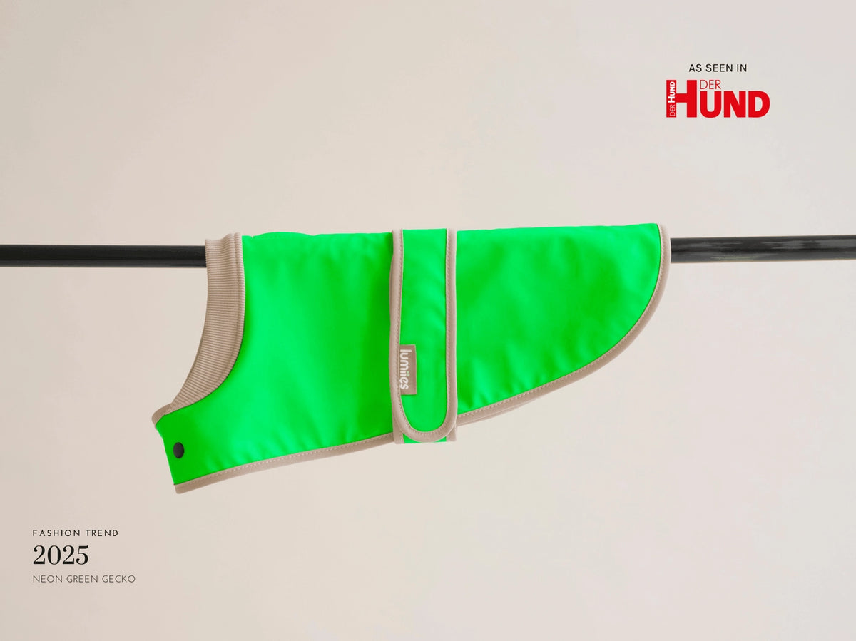 The Glow Raincoat Mini-Fit |  Neon Green Gecko