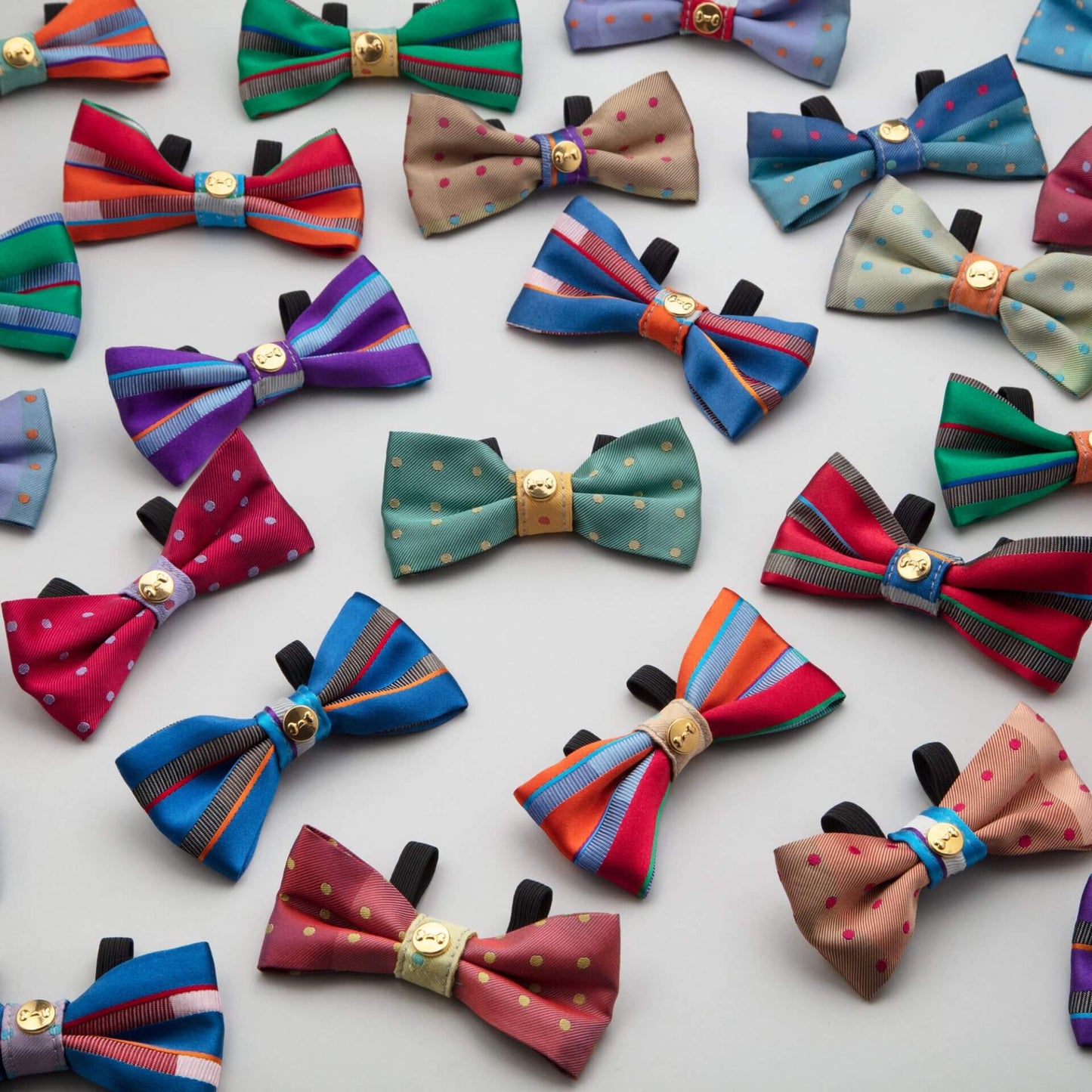 Dog Fly Upcycled — Denjo x Eton