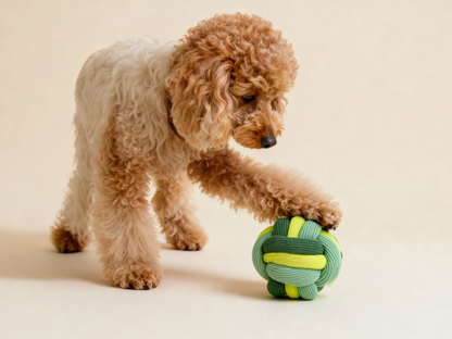 THE TWISTY BALL Matcha Twist | Large