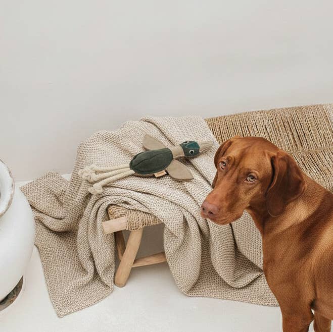 Hundespielzeug Daggi Duck aus Leder