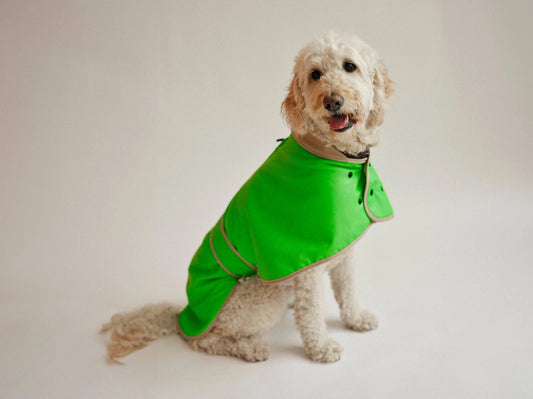 The Glow Raincoat Regular-Fit | Neon Green Gecko