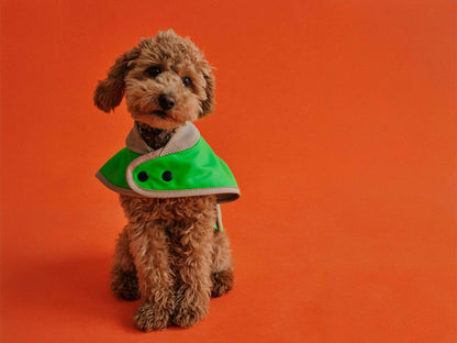 The Glow Raincoat Mini-Fit |  Neon Green Gecko