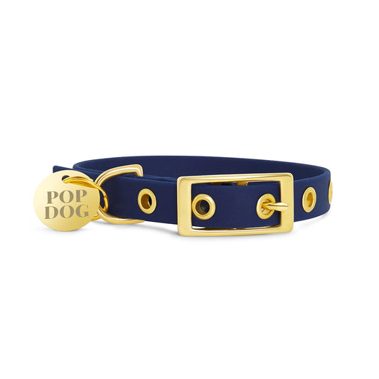 Hundehalsband PATAPOUF