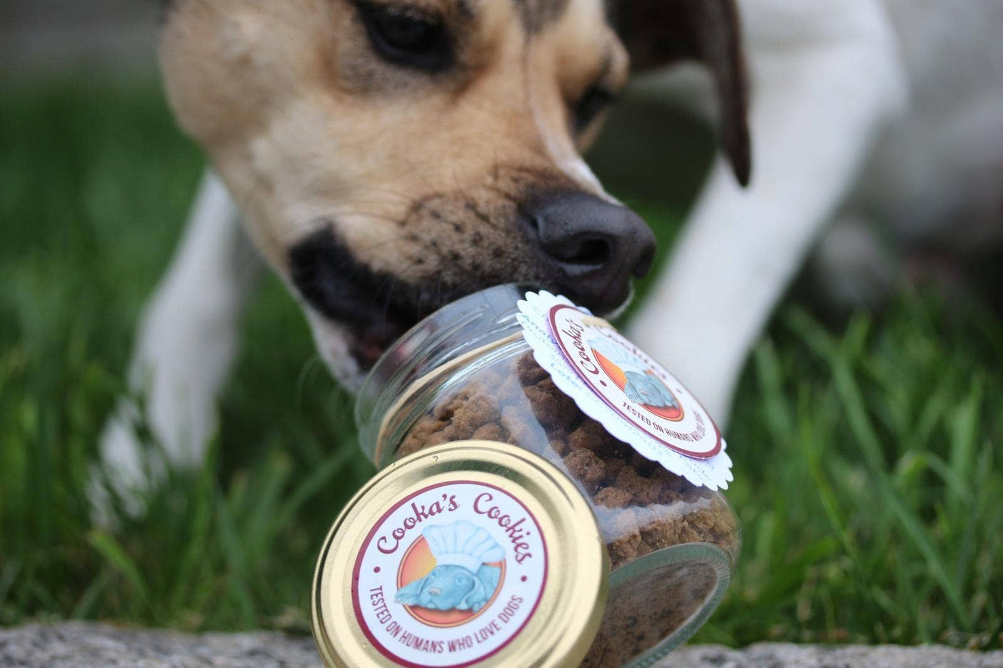 Chicken Crumble – Kalorienarme Leckerlis für Hunde und Katzen