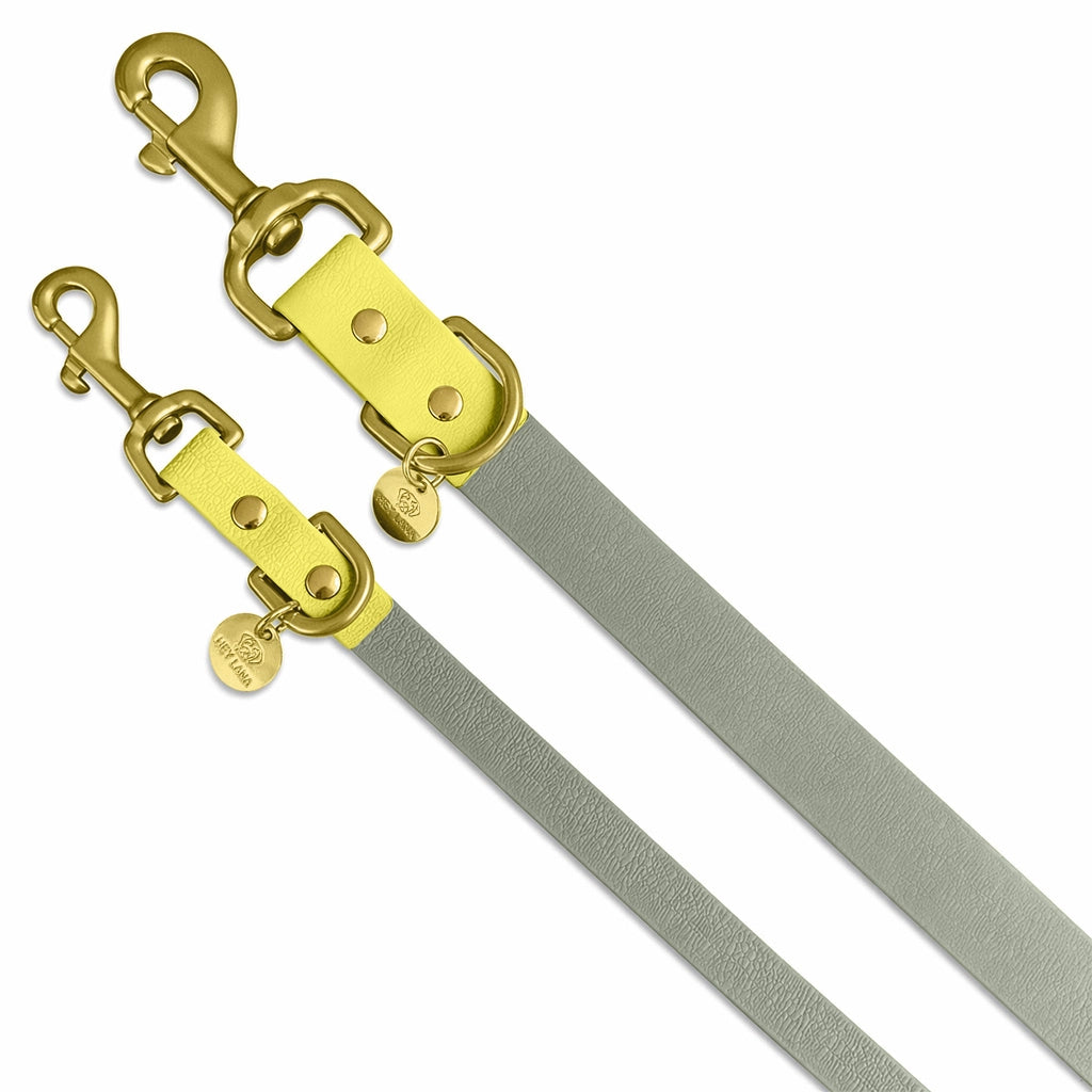 Hundeleine Outdoor FLEX | 3-fach verstellbar | Lemon/Seagrass