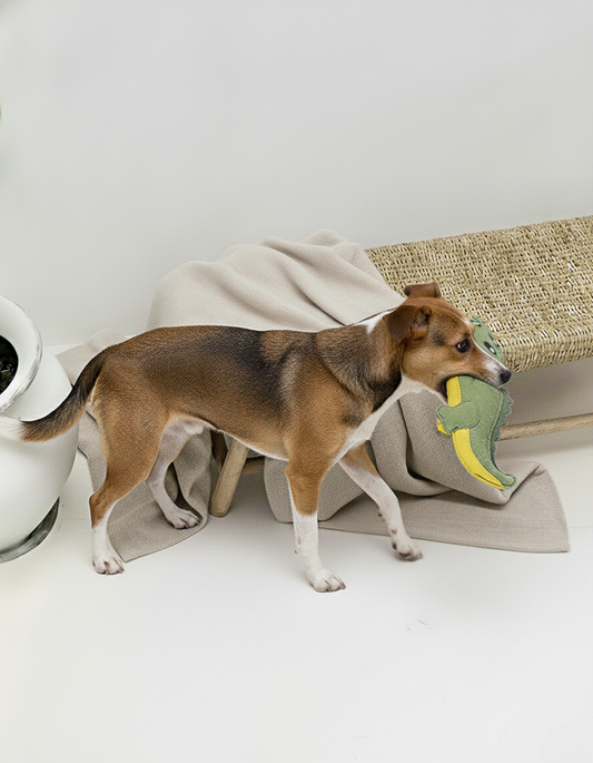 Hundespielzeug "Coco the Croco" groß aus Leder