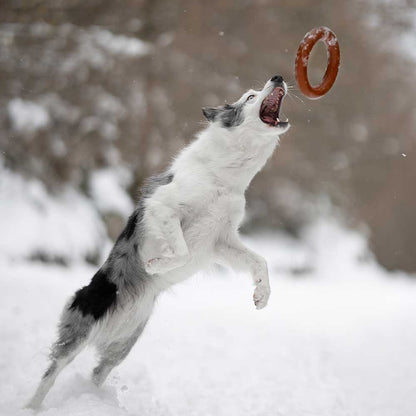 Hundespielzeug Rub Bite