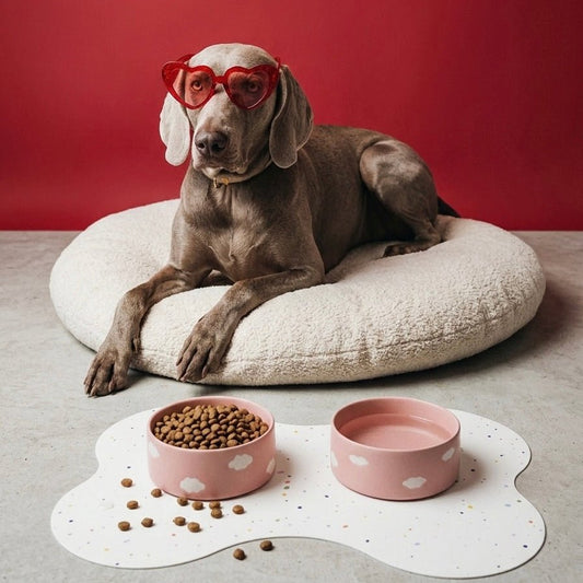 Napfunterlage New Party Bone