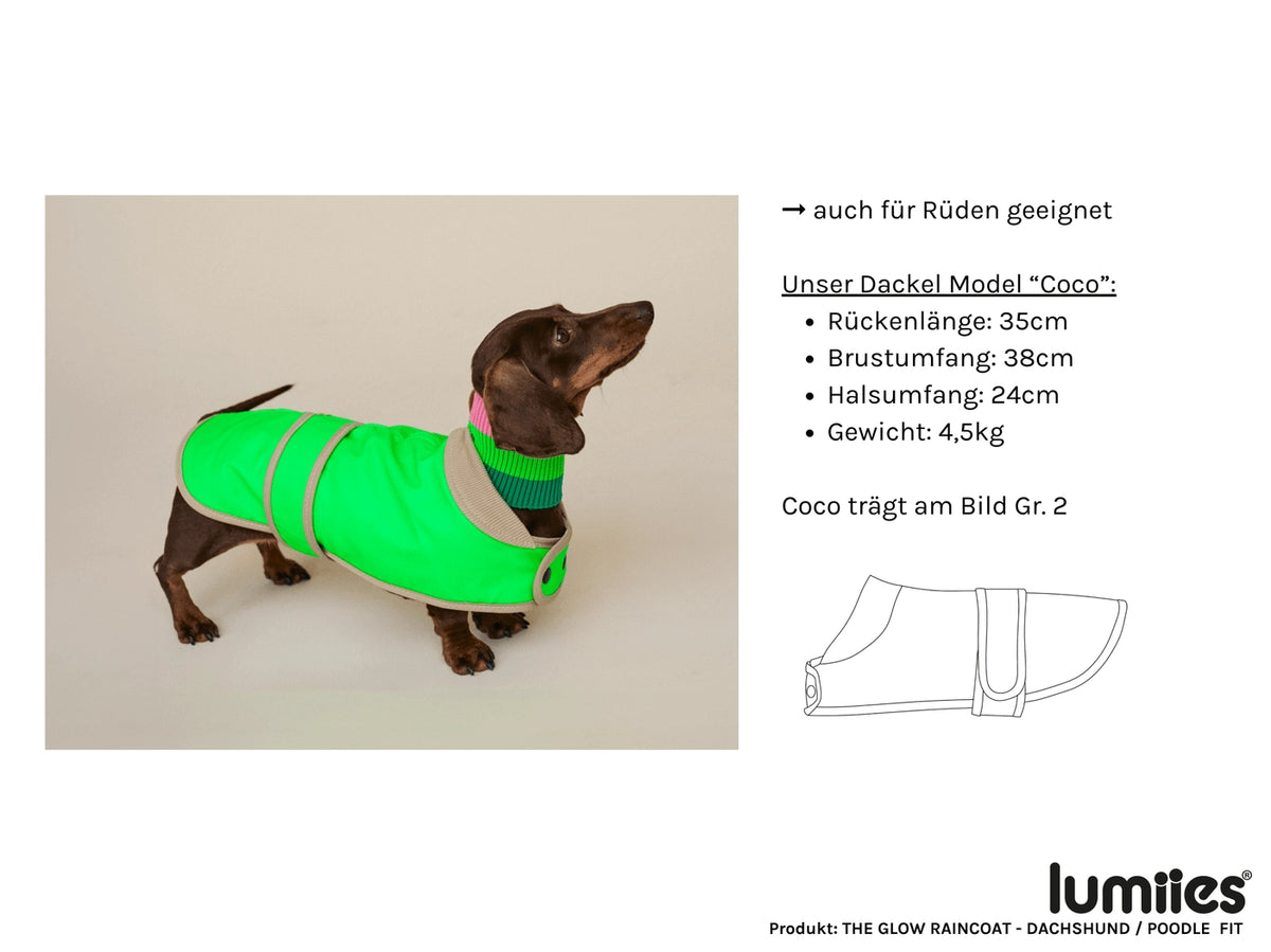 The Glow Raincoat Mini-Fit |  Neon Green Gecko