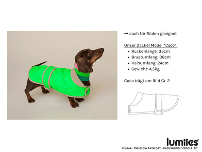 The Glow Raincoat Mini-Fit |  Neon Green Gecko