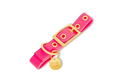 Hundehalsband GLOUTON